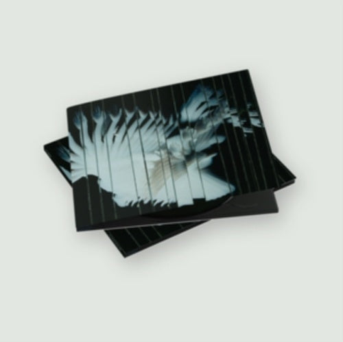 Scaler - Endlessly - Import CD