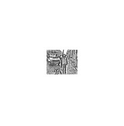 Still House Plants - Still House Plants - Import Vinyl 10 inch Recurd Limited Edition