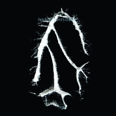 Seefeel - Everything Squared - ImportCD