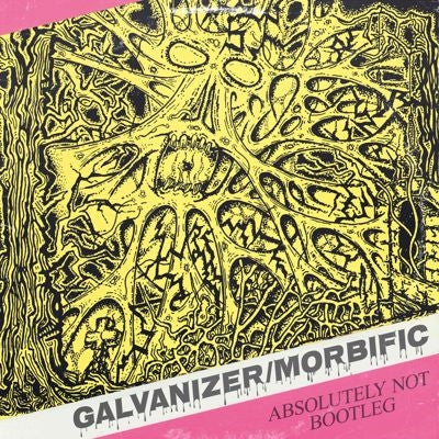 Galvanizer 、 Morbific - Split - Import Vinyl LP Record