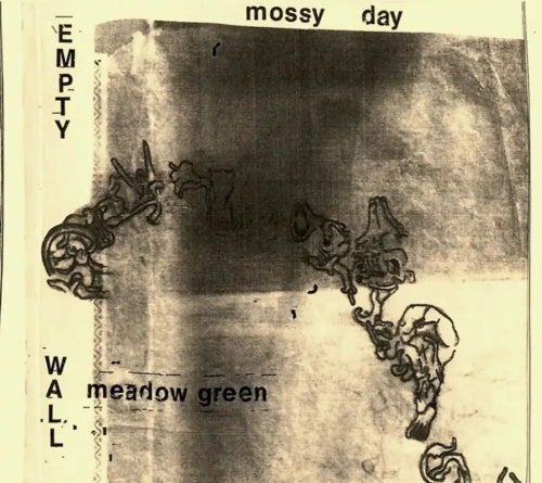 Mossy Place - Empty wall, meadow green - Import CD