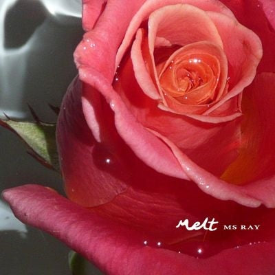 Ms Ray - Melt - Import Vinyl 12 inch Recurd