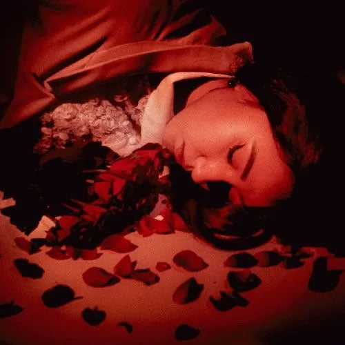 Coming Up Roses - How Did We Fall So Far? - Import CD