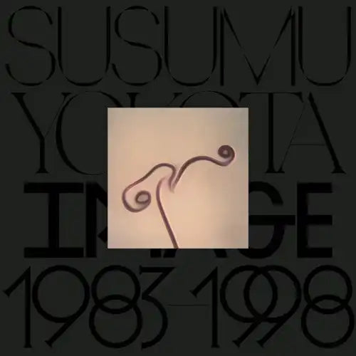 Susumu Yokota - Image 1983-1998 (Skintone Edition) Lp - Import Vinyl LP Record
