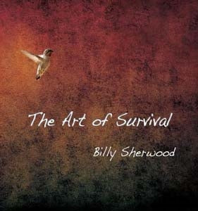 Billy Sherwood - The Art Of Survival - Import CD