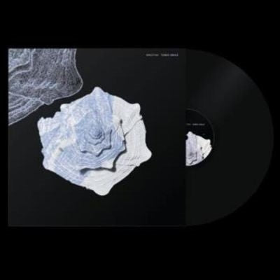 Fabio Anile - Minutiae - Import Vinyl LP Recurd