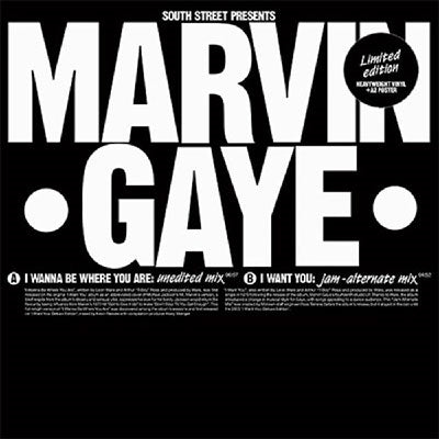 Marvin Gaye - I Wanna Be Where You Are / I Want You - Import Vinyl 12inch Single Record Bonus Track