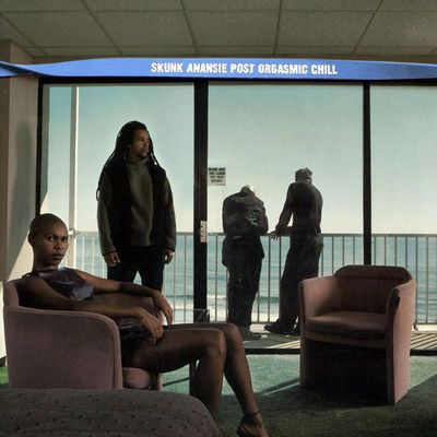 Skunk Anansie - Post Orgasmic Chill (25th Anniversary Expanded Edition) - Import 2 CD