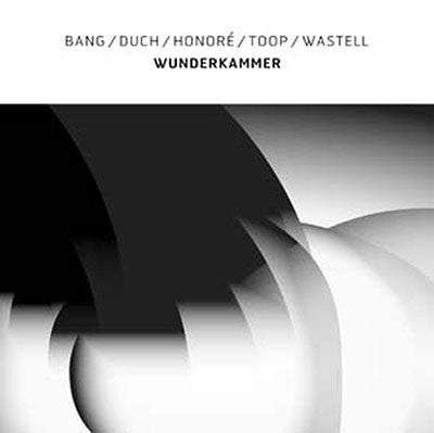 Jan Bang 、 Michael Francis Duch 、 Erik Honore 、 David Toop 、 Mark Wastell - Wunderkammer - Import Colored Vinyl LP Record
