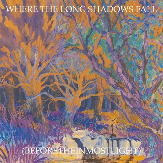 Current 93 - The Long Shadow Falls - Import 7CD+7inch Box Set