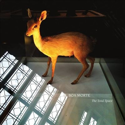 Boa Morte - The Total Space - Import Vinyl LP Record