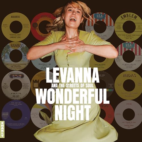 V.A. (Wonderful Night Curated By Levanna) - Wonderful Night Curated By Levanna - Import CD