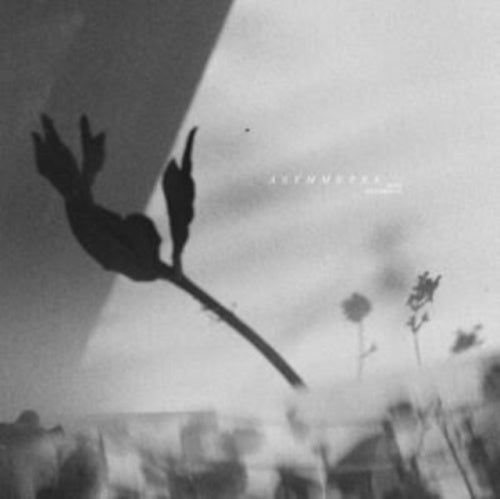 Alex Kozobolis - Asymmetry - Import Vinyl LP Record