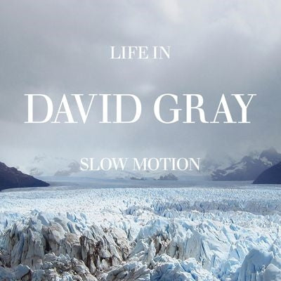 David Gray - Life in Slow Motion (20th Anniversary Edition) - Import Vinyl LP Record