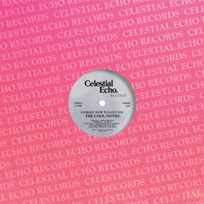 Cool Notes - I Forgot How To Love You - Import Vinyl 12 inch Recurd