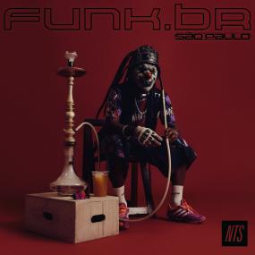 V.A. (Funk.Br) - Funk.Br - Sao Paulo - Import 2 LP Record