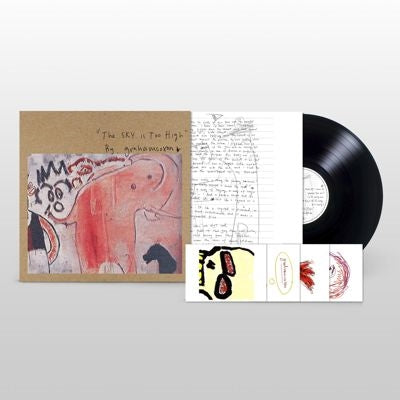 Graham Coxon - The Sky Is Too High - Import LP Record