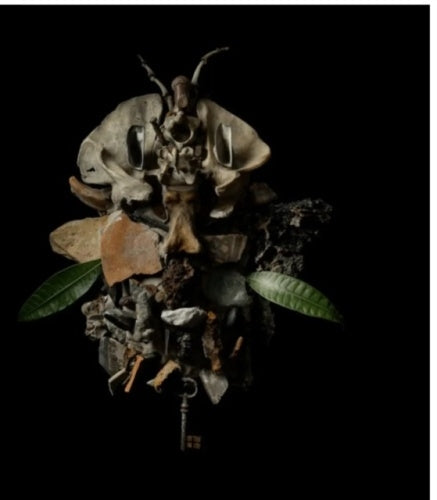 Francesco Fabris - Displaces - Import CD