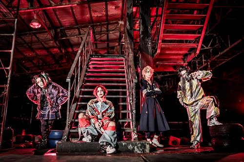 Codomodoragon - Codomo Dragon Oneman Tour[new Standard-Gonge-]-Tour Final & 15 Shuunen Kinen-Jersey Gentei 2025 Nen - Japan DVD