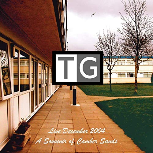 Throbbing Gristle - A Souvenir Of Camber Sands - Import 2 LP Record Clear Vinyl Limited Edition