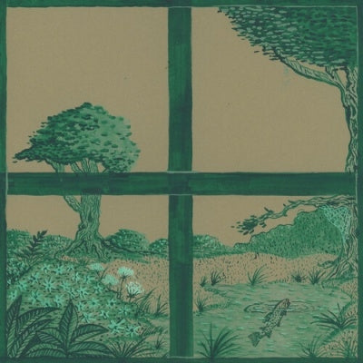 Dirty Projectors / David Longstreth / Stargaze - Song Of The Earth - Import Vinyl 2 LP Record