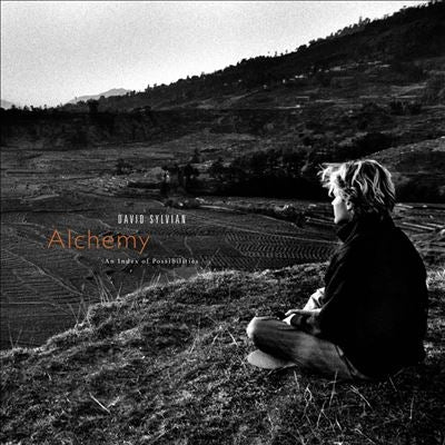 David Sylvian - Alchemy: An Index of Possibilities - Import Gold Opaque Vinyl LP Record