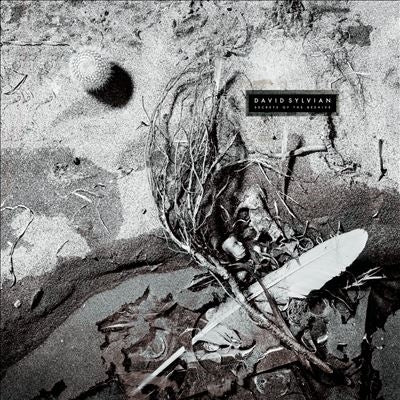 David Sylvian - Secrets of the Beehive - Import Yellow Opaque Black Vinyl LP Record