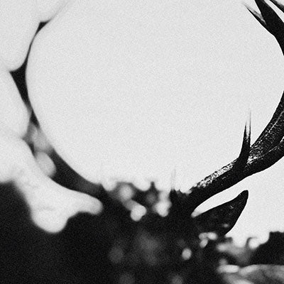 Ihsahn - Ihsahn (Orchestral) - Import Clear With Black Smoke Marble Vinyl 2 LP Record Limited Edition