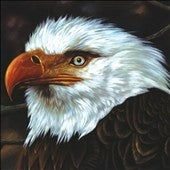 Mogwai - The Hawk Is Howling (UK) - Import CD