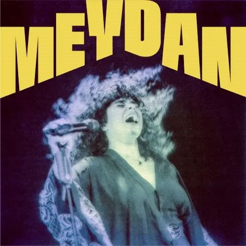 Meral Polat - Meydan - Import LP Record