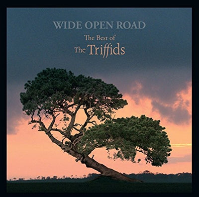 The Triffids - Wide Open Road: The Best Of The Triffids - Import CD