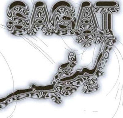 Sagat - Silver Lining - Import LP Record