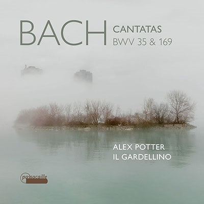 Bach, J.S. / Potter / Doeselaar - Bach Cantatas Bwv 35 & 169 - Import CD