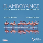 Anna Danilevskaia - Flamboyance -The Sound of Change -Music of the Flamboyant Era : Sollazzo Ensemble - Import CD