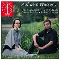 Artur Rozek - Auf Dem Wasser... - Import CD