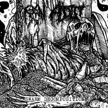Raw Addict - Swarm Decomposition - Import CD