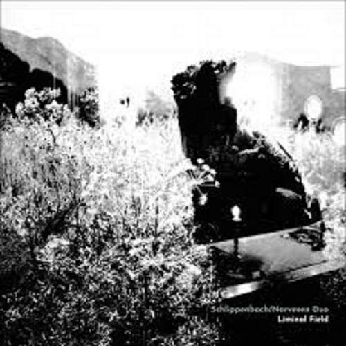Alexander Von Schlippenbach、Dag Magnus Narvesen - Liminal Field - Import CD