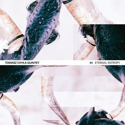 Tomasz Chyla - Eternal Entropy - ImportCD