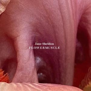 Jane Sheldon - Flowermuscle - Import CD