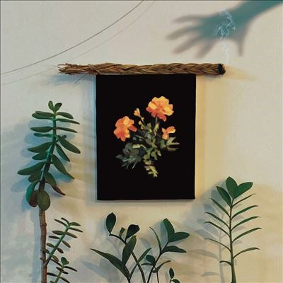 WHY? - The Well I Fell Into - Import Vinyl LP Record Limited Edition