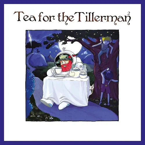 Cat Stevens (Yusuf)  - Tea For The Tillerman 2  - Import CD