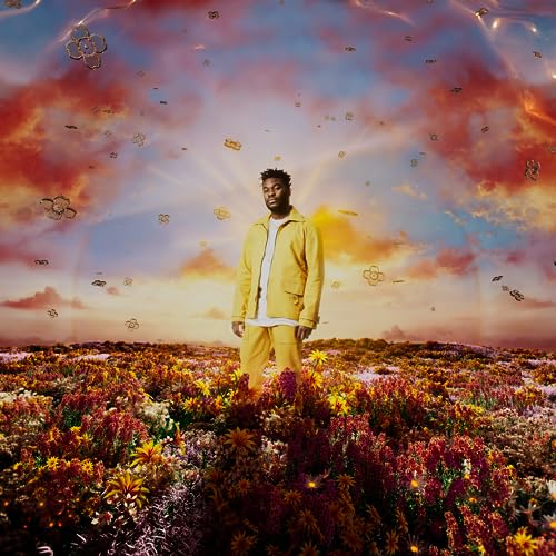 Nonso Amadi - When It Blooms - Import Vinyl LP Record