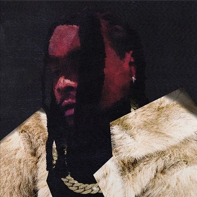 Wale - Everything Is A Lot. - Import CD
