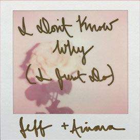 Jeff Goldblum & The Mildred Snitzer Orchestra - I Don't Know Why (I Just Do) - Import Vinyl 7 Inch Single Record Limited Edition