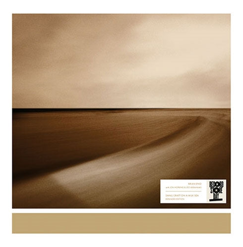 Brian Eno - Small Craft On A Milk Sea (Expanded Edition) - Import Record Store Day /Black Bio Vinyl 2 LP Recurd