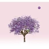 Eels - Tomorrow Morning - Import CD