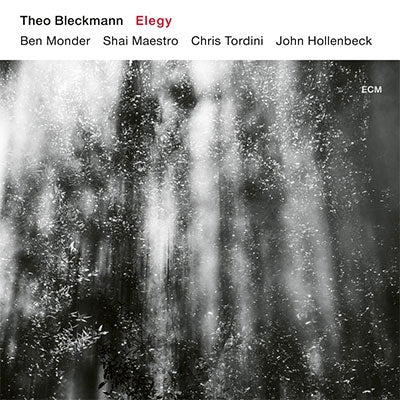 Theo Bleckmann - Elegy - Import CD