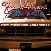Gin Blossoms - New Miserable Experience - Import Vinyl LP Record