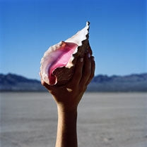 The Killers - Wonderful Wonderful - Import CD