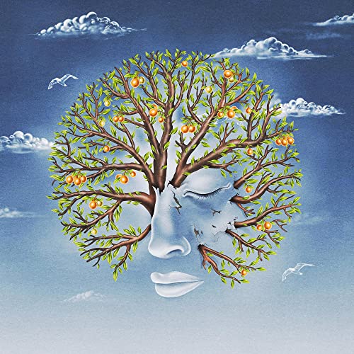 Another Sky - Life Was Coming In Through The Blinds - Import Vinyl LP Record